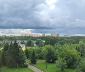 г. Фрязино, ул. Озёрная, д. 7